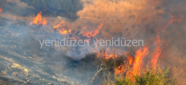 Güngör’de çıkan yangın korkuttu!