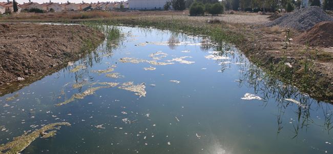 Dere yükseldi paniğe neden oldu