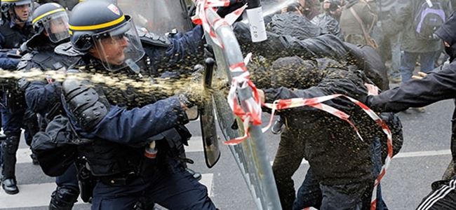 Pariste çevre eylemcilerine biber gazlı müdahale