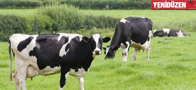 Üreticiye 50 bin 400 TL tazminat