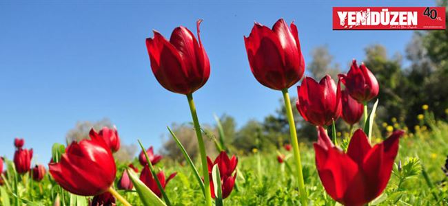 İKTİSATBANK yarışmasında GÜÇLÜ MESAJLAR