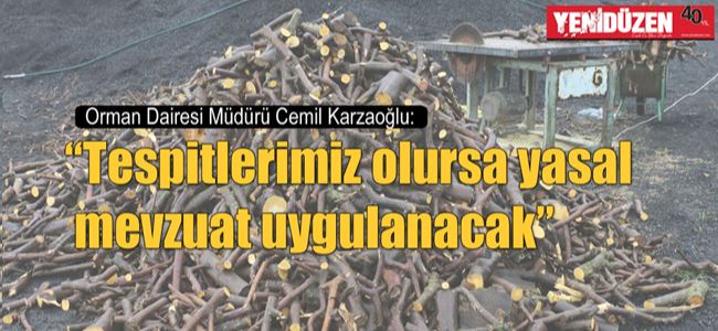 Orman Dairesinden kaçaka yasal işlem