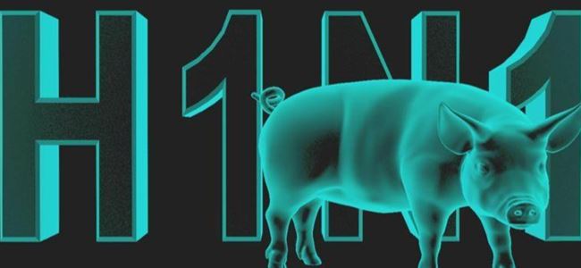 Lefkoşada domuz gribi vakası!