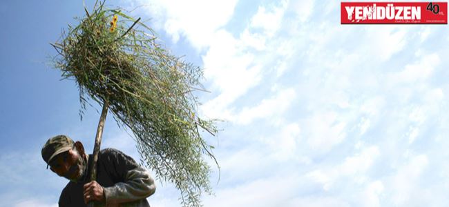 KOOPERATİFÇİLİK VE SERTİFİKALAŞMA DÖNEMİ