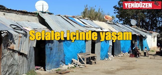 Barakalarda insanlık ayıbı!