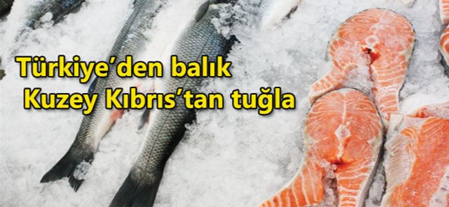 2008’den bu yana  500 ton balık