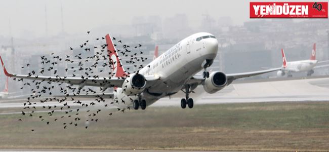  Motoruna kuş giren uçak, geri döndü