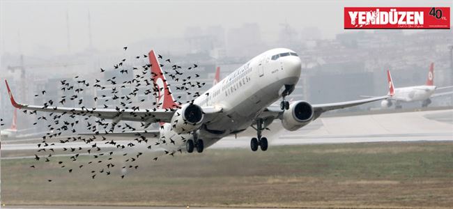 THY uçağı Ercanda kuş sürüsüne çarptı