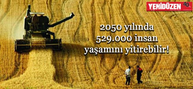 Gıdaya erişimde tehlike çanları!