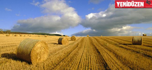  Doğrudan Gelir Desteği için başvurular başladı