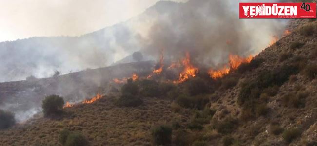 70 dönüm arazi yandı