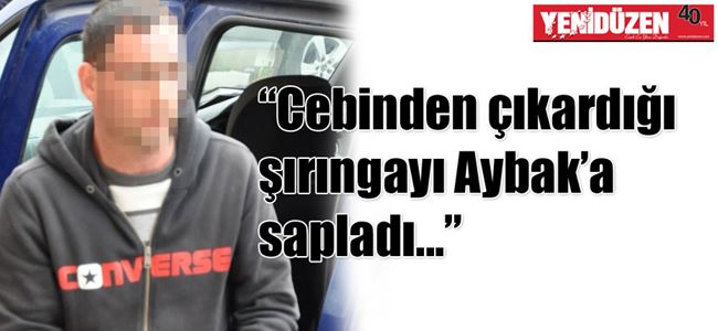 Ahmet Aybak Cinayeti