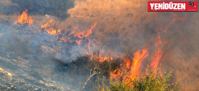 Orman yangınları için ekip kurulacak