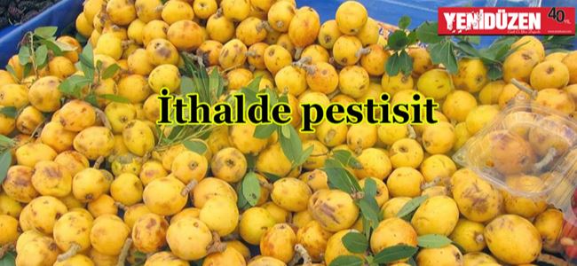 İthal yenidünya ve çilekte ‘pestisit’