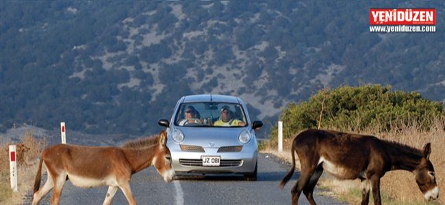 Çekova’dan çağrı: “Çevreye karşı duyarlı olun”