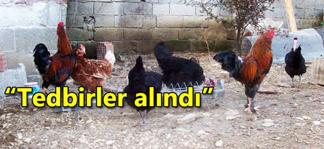 Dayıoğlu, “New Castle Hastalığı” ile ilgili konuştu