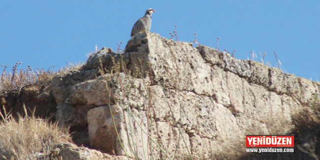 BU ALAN RALLİYE UYGUN DEĞİLDİR