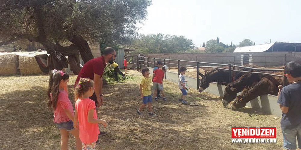Onlarca hayvan içerde kaldı!