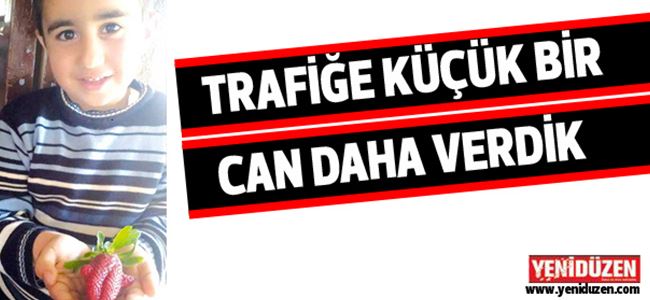 İbrahim Dönekli yaşam savaşını kaybetti