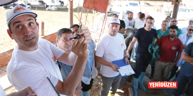 Hayvan hastalıkları eğitimi