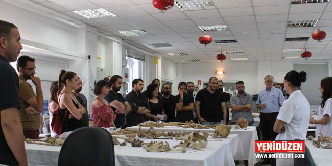 Dayanışma: Özür diliyoruz!