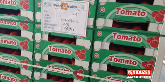 İthal domatesler tahlil edildi