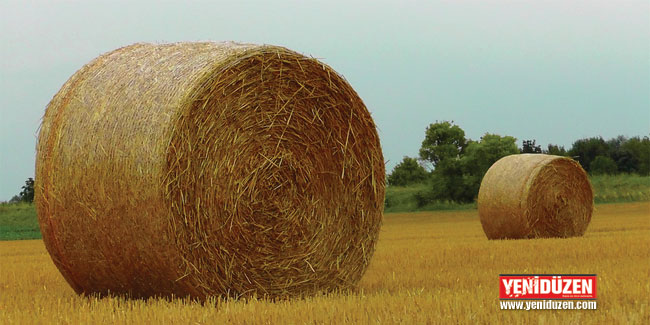 Balya fiyatları açıklandı