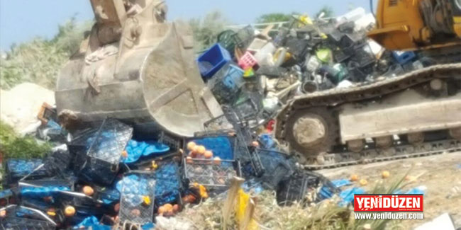 Pestisit kalıntısı olan ürünler imha edildi