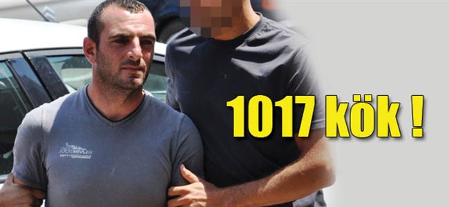 Narkotikten büyük darbe