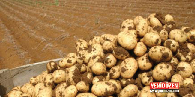 Patates üreticileri ürün bedelleri ödemesi yapıldı