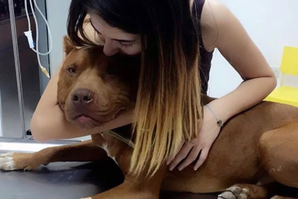 Ailesi Tunçu arıyor