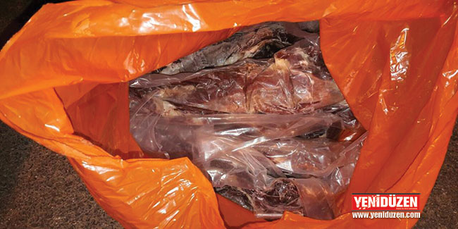 800 kilo etle yakalandı