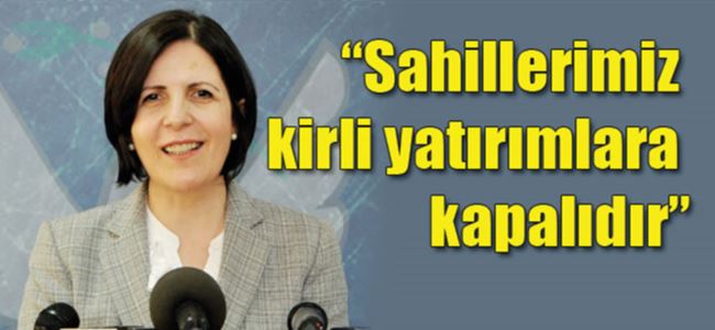 Başbakan Siber net konuştu