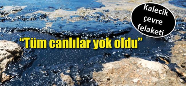 15 km’lik kıyı petrol kaplandı…