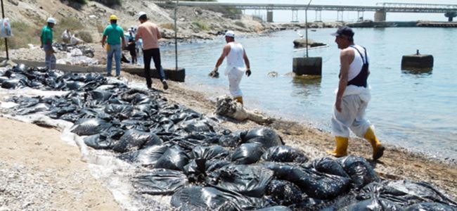 DAÜ SAGAM: Acil Eylem Planları Şart