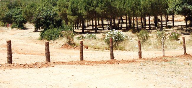 Boğaz ihalesi İPTAL