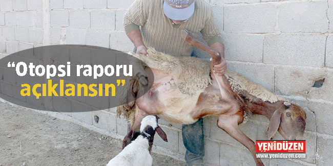  “Ölümler gıda zehirlenmesidir! Otopsi raporu önemli”