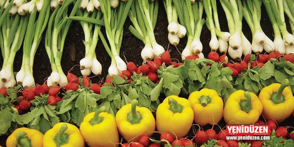 Tarım Dairesi, gıda denetimleri sonuçlarını paylaştı