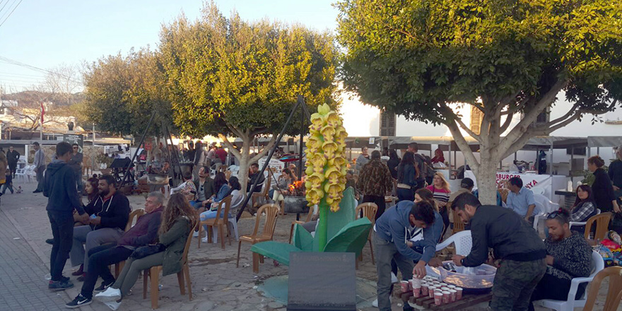 Orkide Festivali renkli geçti