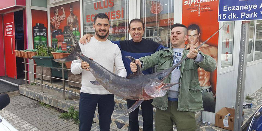 21 kg’lık kılıç balığı     
