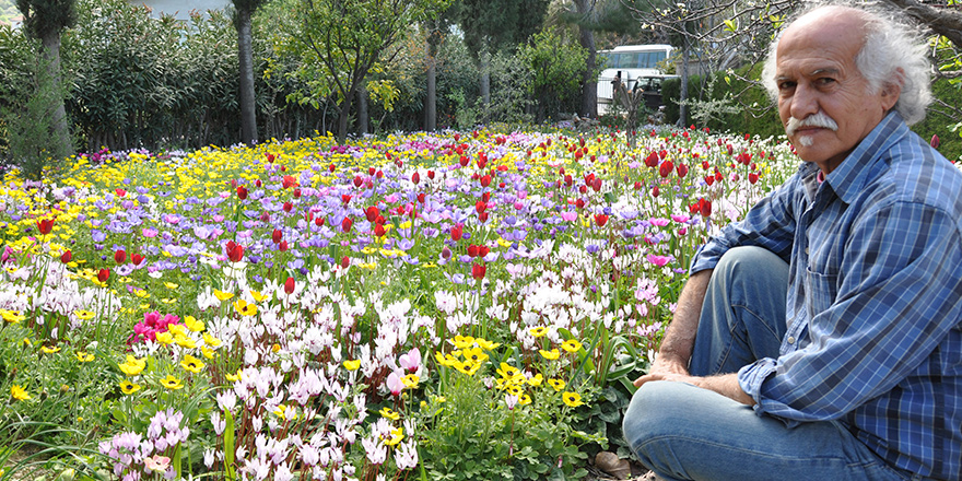 Görenleri büyüleyen bahçe…