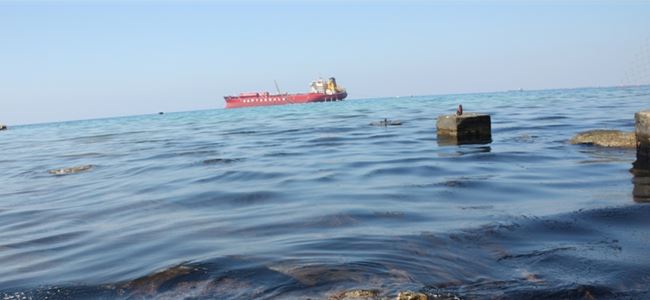PAH değerleri kabul edilebilir sınırlarda