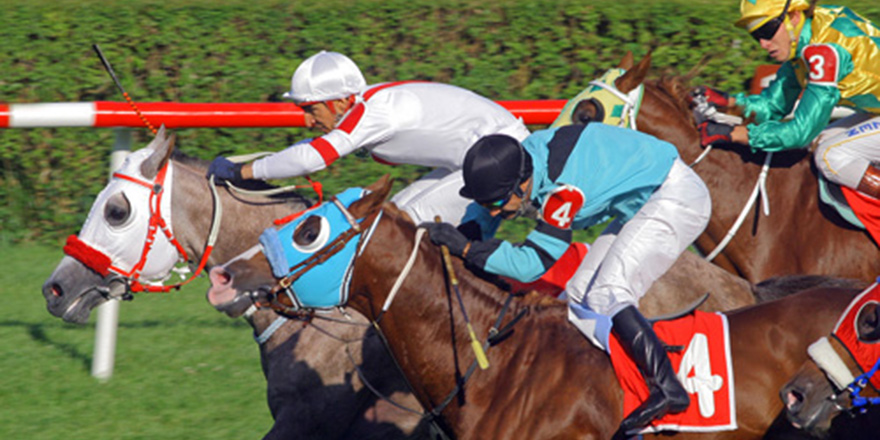 Bir haziran ayı… Bir sınav ayı daha… Ve Yarış Atlarımız… Caretta Carettalarımız…