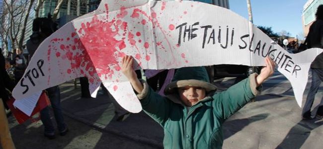 Yunus Avı, çevrecileri öfkelendirdi