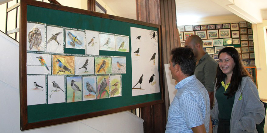 Okul çevresindeki kuşlar kitapta toplandı
