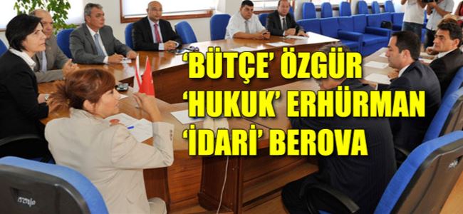 3 komite şekillendi