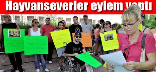 “Hayvan Refah Yasası uygulansın”