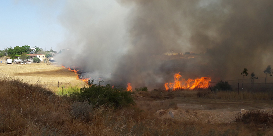 Ülkede son 5 yılda en çok görülen yangın 2 bin 142 adetle arazi yangını