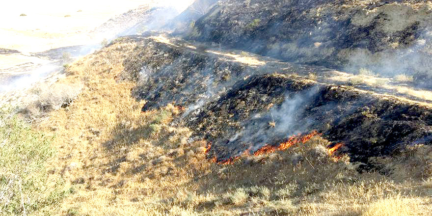 Gürpınar’da yangın  15 dönümlük arazi zarar gördü