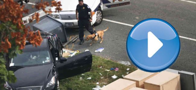 ABD Kongre binası çevresinde ateş açılması